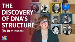 Visible Biology | Lesson 4: The Discovery of DNA’s Structure