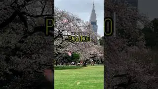 😳 Мой подписчик рассказал ПРАВДУ 