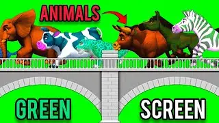 Cartoon animal stampede green screenvideo no copyright 