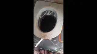 Курица утонула в туалете