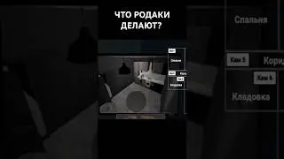КАМЕРЫ ПРОВЕРКИ РОДИТЕЛЕЙ 