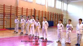 Аттестация на 7 гып (желто-зеленый пояс) ITF тхэквондо