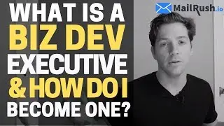 What is a Business Development Executive?