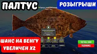 СТРИМ РР4 🎁 ШАНС НА ВЕНГУ и РИГАЛ УВЕЛИЧЕН Х2 🎁 РОЗЫГРЫШИ КАТУШЕК, ЗОЛОТА И ПРЕМОВ 🎁 ТУРНИРЫ 🎁 DUM_