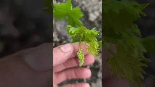 жалко, но так надо