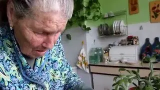 Растение декабрист цветет