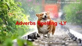 Grammar Rules 2 - Adverbs Spelling -LY