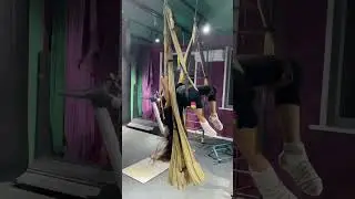 #софянка