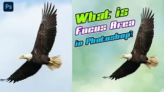 Photoshop What Is Focus Area - Focus Area101%Uges In Photoshop|101%Use on focus area bangla tutorial