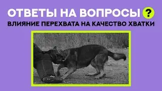 Дрессировка собак. Методика 