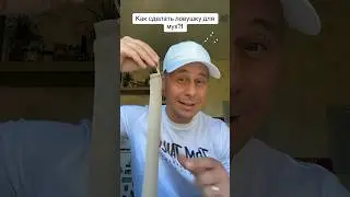 Как самому сделать ловушку для мух?!￼