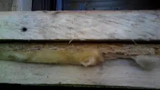 Утепление в бытовке "Люкс"