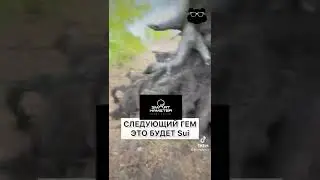 Где искать топ проекты в крипте? 