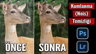 Fotoğrafta Kumlanma Gren Temizliği Yapmak | How to High Iso Noise Reduction Photoshop