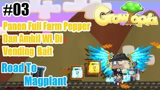 Panen Full Farm Pepper & Ambil WL Di Vending Bait || Growtopia Indonesia - Road To Magplant Eps.03