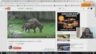 18+ Папич смотрит видосы с животными!