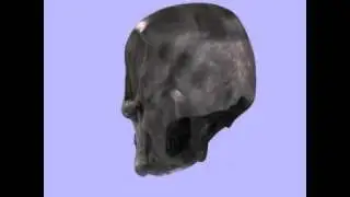 3D Floating Skull Demo