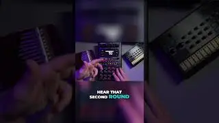That SP404 Compressor Magic 🪄