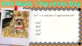 SAT Math - Tip of the Day (02.05)