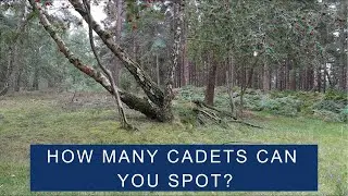 Cadets camouflage and concealment challenge | How many can you spot?