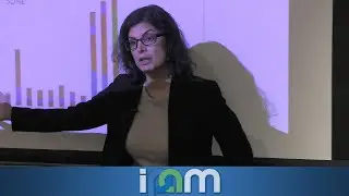Tina Eliassi-Rad - The Pitfalls of Using ML-based Optimization - IPAM at UCLA