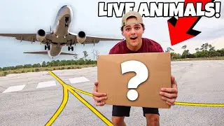 He SHIPPED Me THESE ANIMALS for My BackYard POND!!