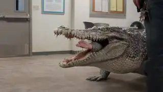 Crocodile Vore Ad