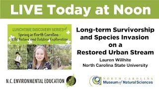 Long-term Survivorship and Species Invasion on a Restored Urban Stream