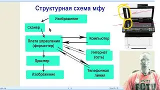Пример использования структурной блок - схемы в диагностике мфу.