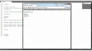 HTML Tutorial #6: Radio Buttons and Checkboxes