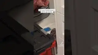 franchdog don't go to sleep. So sweet dog