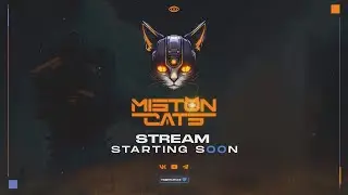 Трансляция Innopolis Open 2024 Elimination 2 / Miston Cats