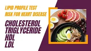 Lipid Test: Risk Assessment for Heart Disease: Heart Attack and Stroke - Cholesterol, TG, HDL & LDL