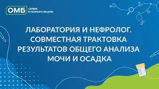 Лаборатория и нефролог. Совместная трактовка результатов общего анализа мочи и осадка