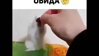 ЖАЛКО! 😭 😭