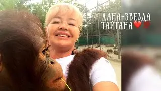 Тайган.❤️ ЭКСКЛЮЗИВ ДАНА -ЗВЕЗДА ТАЙГАНА ❤️ Даночке подарили футболку😄Safari park Taigan.