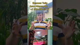 Срочно Бинен Дар Россия.Бизнеси таёри Фуруши