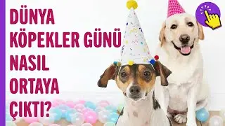 26 Ağustos Dünya Köpekler Günü Nereden ve Nasıl Ortaya Çıktı? | Köpek Videoları