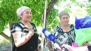 #гтв