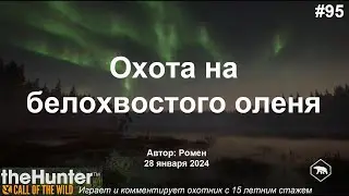 Охота на белохвостого оленя в theHunter Call of the Wild (Revontuli Coast)