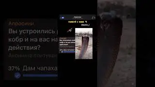 Ви устроились работать на ферму кобр и на вас напала одна. Ваши действия?
