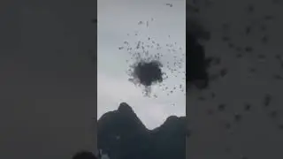 Загадочное и необычное движение стаи птиц в Китае.