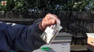 Как поменять матку в злой семье.