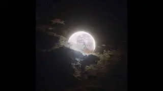 [FREE] lil shine x summrs x pluggnb type beat "moonlight"