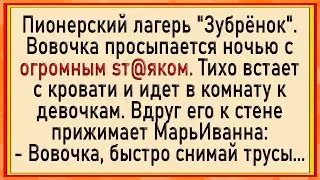 Пионерский Лагерь Зубрёнок! Сборник Свежих Анекдотов! Юмор!