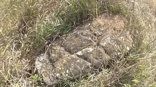 ЭТО НАШЛИ В ПОЛЕ ОТКРЫЛИ И СНЯЛИ НА КАМЕРУ!