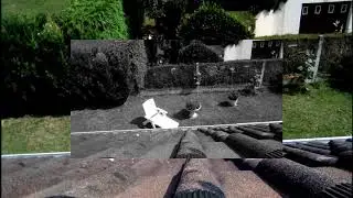 smartphone made in china (45 euros) VS iPhone 6 camera angle