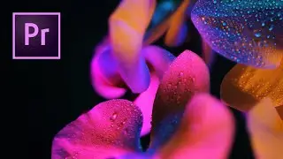 Sci-fi Neon Orchid Video Intro: Edit breakdown (Premiere Pro Tutorial)