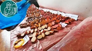🥔 Как мы сажаем картофель 🌱 Когда сажать картошку: температура почвы и погода 🏆 Факторы урожайности