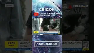 Как в Грузии живут сбежавшие россияне 